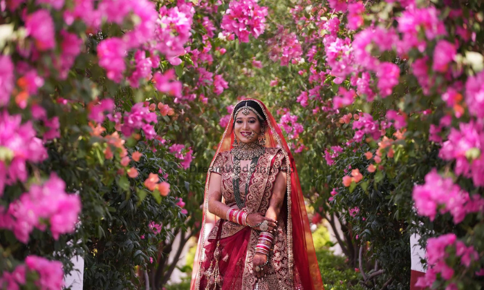 Next Level Photography